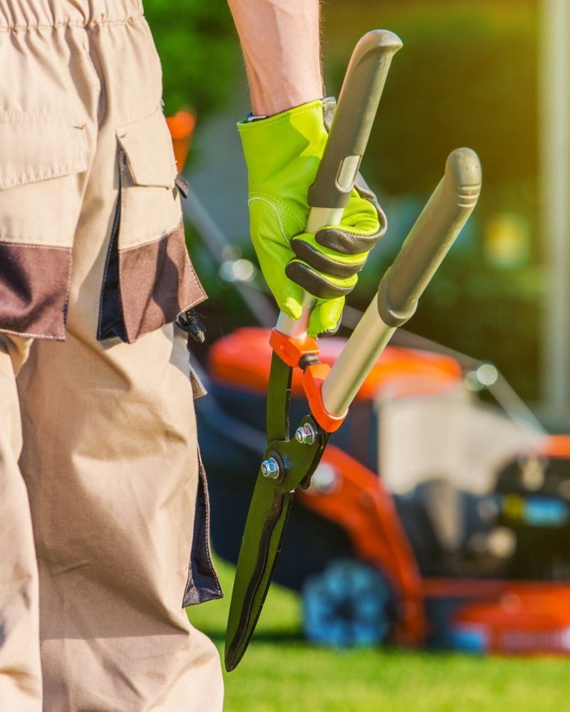Landscaping Professional. Pro Gardener with Large Scissors and Other Gardening Equipment.